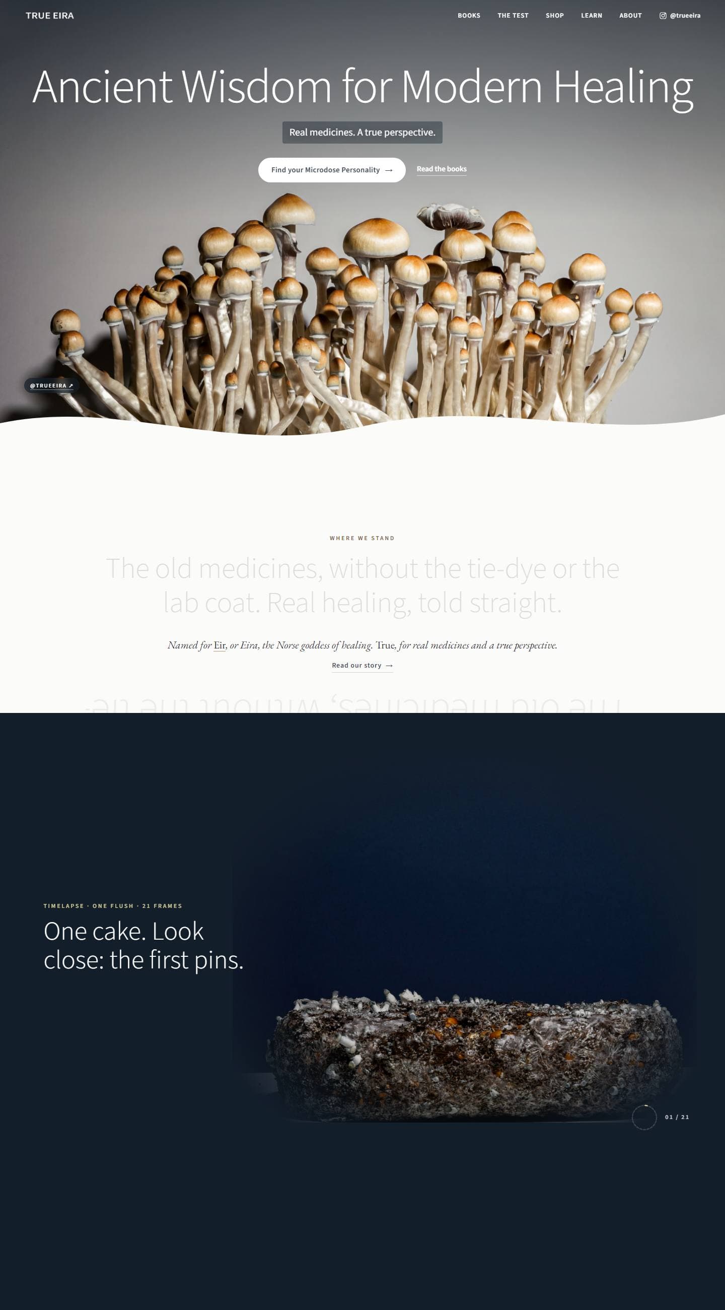 True Eira website — a capture of our work